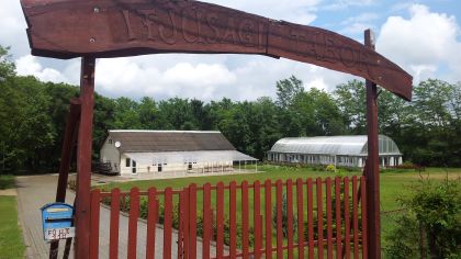 Nyári Táborozás 2024